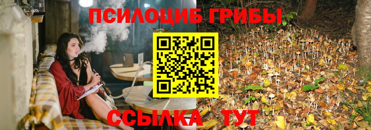 Протвино  Псилоцибиновые грибы GOLDEN TEACHER  Вход с VPN 