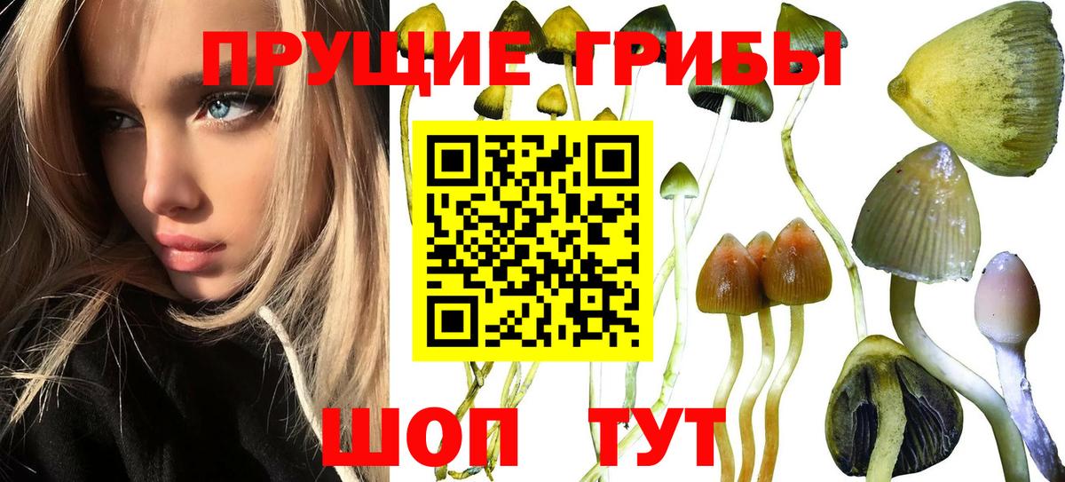 Псилоцибиновые грибы мухоморы Протвино
